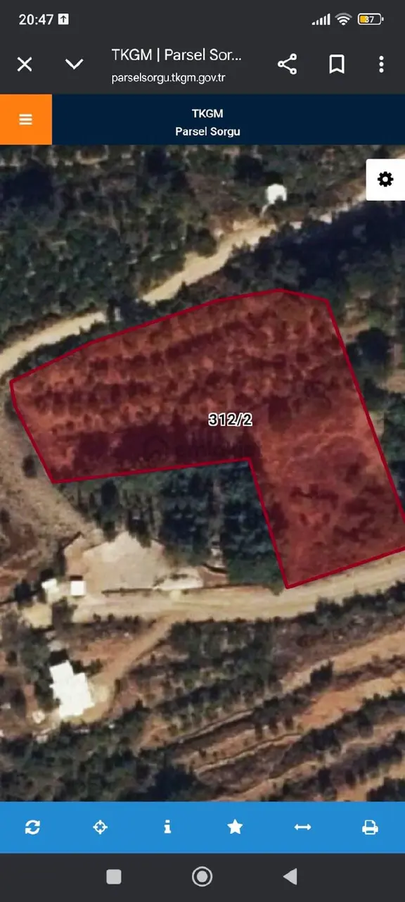 Mahmutseydi Gökçen Mevkiinde Satılık Zeytinlik Tek Tapu Su Ve Yolu Var 2