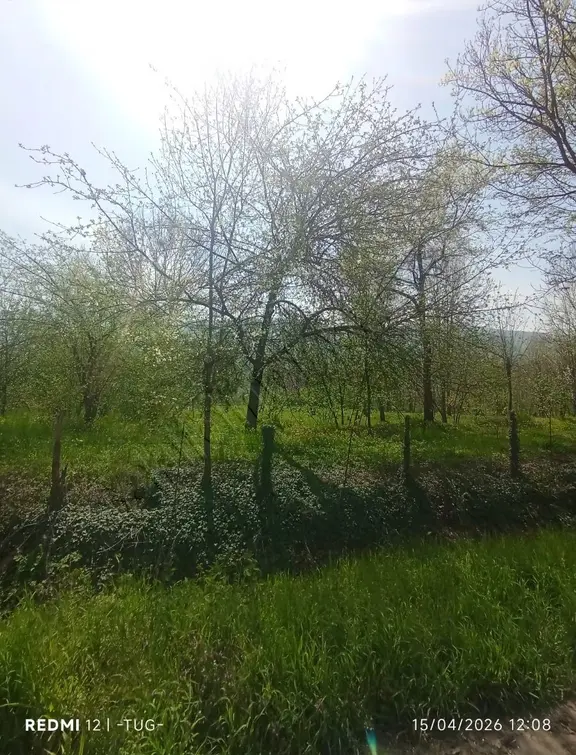 Düzce Aydınpinar Köyünde Satılık Arsa 2