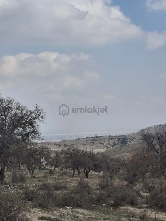 Sarayköyde İmarlı Arsa Kaçırılmayacak Fırsat! 1