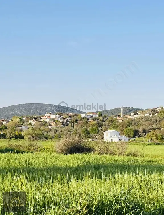 Milas Kuzyakada Satılık Tarla 1