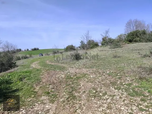 İzmit Böğürgen Mahallesinde 6.500 M2 Arazi 2