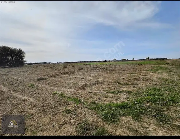 Antalya / Manavgat / Seydiler Mahallesi 3.687 M² Turizm Tesis Alanı – Otel İmarlı Arsa 2