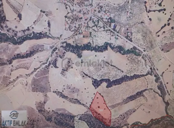 Aktif Emlak'tan Manisa Kasar'da Satılık 15.000 M2 Tarla 2