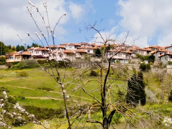 Kocaeli İzmit Arızlı Satılık Manzaralı 9568 M2 Tarla Üzüm Bağı 1