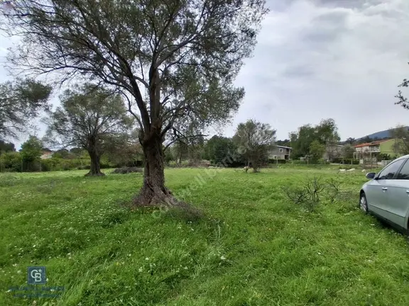 İzmir Urla Çeşmealtı Güvendik Mahnde Eşsiz Yatırım Fırsatı 1