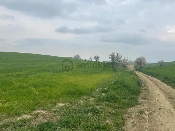Yatırımlüx'ten Hacıeyüplü'de 28.100 M2 Tarla 2