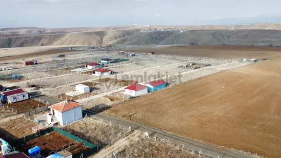 -*bahçelerin İçinde Yol Kenarı Düzlük Te 665 Metre Hisseli Tapu* 2