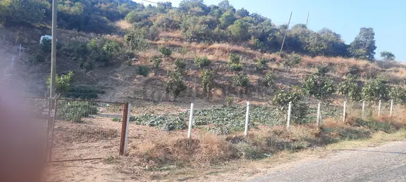 Sahibinden Hobi Bahçesi 1
