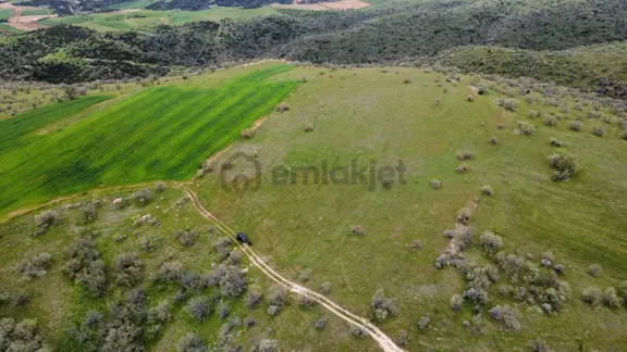 Uşak Eşme Kayalı Köyünde Satılık Tarla 1