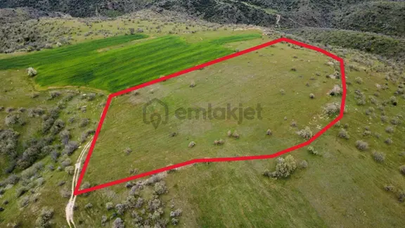 Uşak Eşme Kayalı Köyünde Satılık Tarla 2