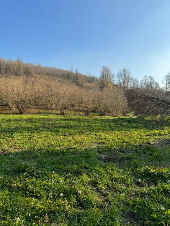 350m2 Parsel Doğa İçinde, Arsa Tapulu Yuşa'dan Satılık 2