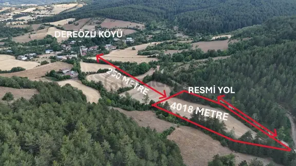 Kastamonu Daday Dereözü Köy Dibi 4018 M2 Tarım Arazisi Köye 450m 1