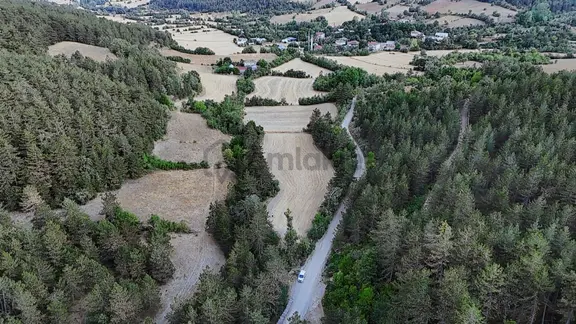 Kastamonu Daday Dereözü Köy Dibi 4018 M2 Tarım Arazisi Köye 450m 2