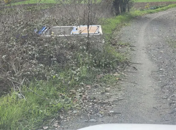 Yaman Köy Daire Takasına Açık Zeytinlik 1