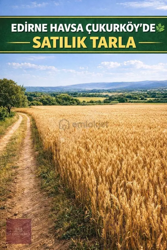 Edirne Havsa Çukurköy'de Satılık Yola Cepheli Tarla 1