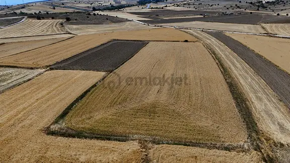 Mustafa Yılmaz'dan Tepebaşı Eğriöz'de 8.099 M² Müstakil Tarla 1