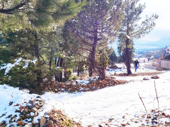 Kar Emlaktan Yenikonacık Bozkırlı Mevkiinde 450 M2 Satılık Arsa 2