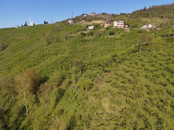Vip Gayrimenkulden Uğurlu'da 2.144 M2 Arsa 2