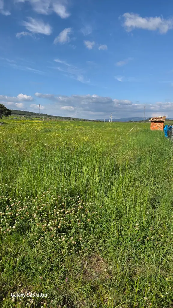 İzmir Bergama Çamtepe Mah.satılık Tarım İmarlı Arazi 2
