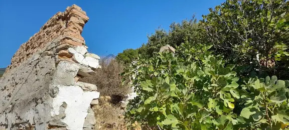 Eski Doğanbey'de Satılık Avlulu Taş Ev(harabe) 2