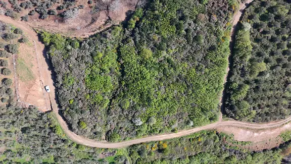 Balıkesir Bandırma Sahil Yenice Mah. 6942 M2 Satılık Tarla Deniz Manzaralı Merkezi Konumda 2