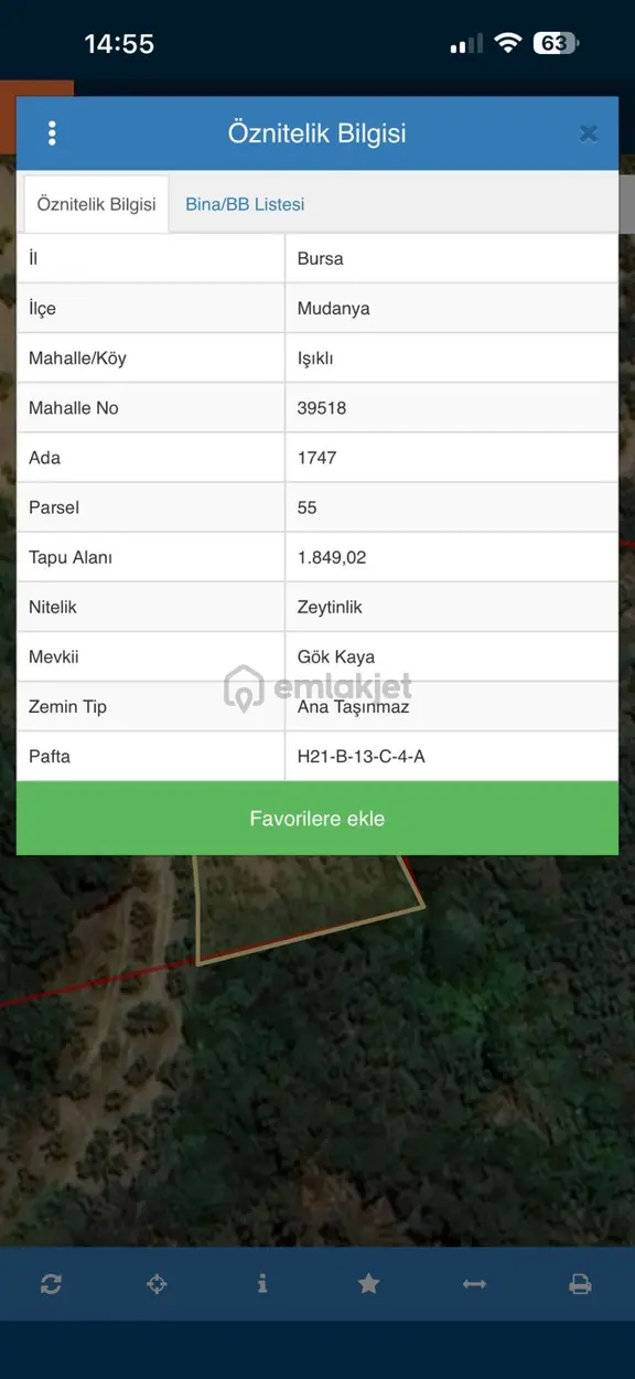 Bursa Mudanya Işıklıda Yatırımlık Satılık Zeytinlik 1,849 M2 1