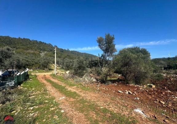 Didim Kardelen Mevki De Satılık Kelepir Arsa 2