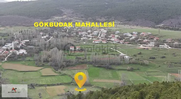 Ilgın Gökbudak Mahallesinde 1.610 M² Müstakil Tapulu Tarla 2