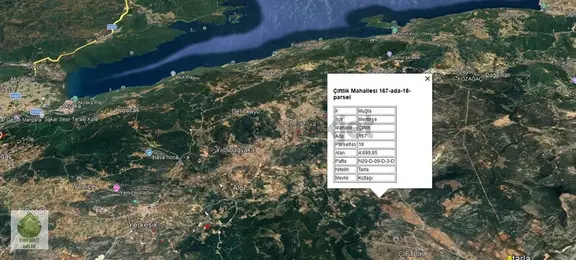 Muğla Menteşe Çiftlik Mahallesinde 4900 M² Satılık Tarla... 1