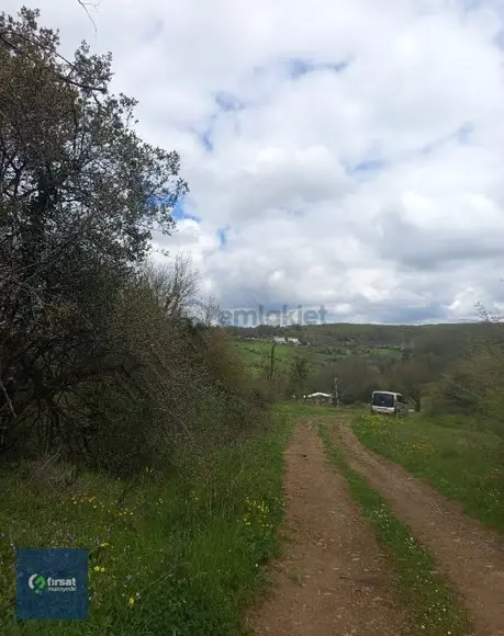 Alırken Kazanmanın Adresi ''fırsat Müzayede'' 2