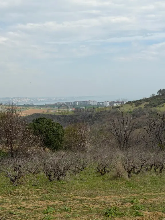 📍 Topağaç’ta 400 M² Altyapılı, Yolu Açık, Değer Kazanan Satılık Arsa! 1