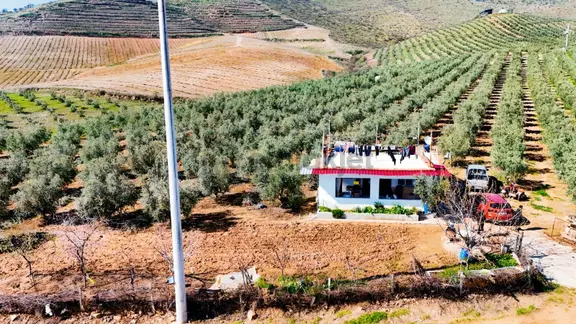 Salihli İğdecik'te Satılık 13031 M2 Zeytinlik (elektrik-su-ev) 1