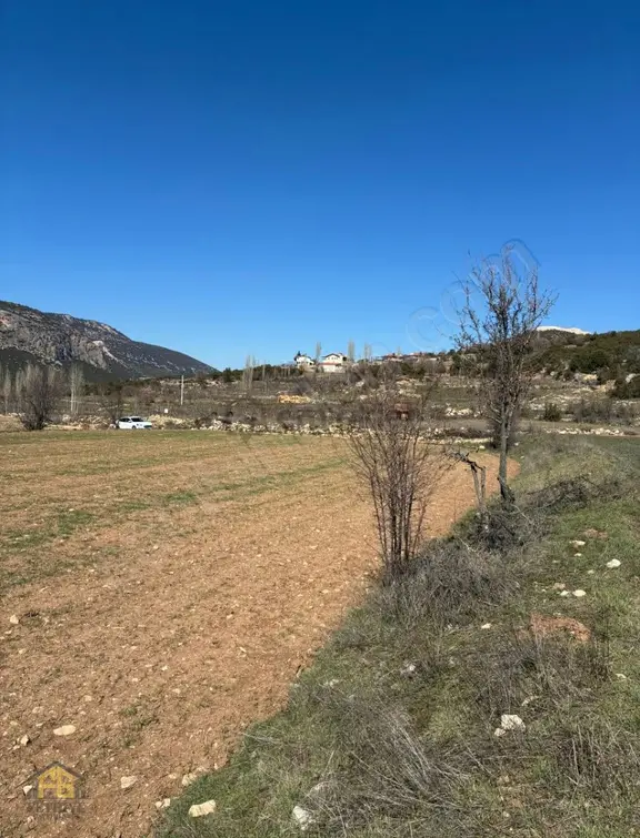 Seydikemer Sekide Satılık Tek Tapu 2.458m2 Arazi 2