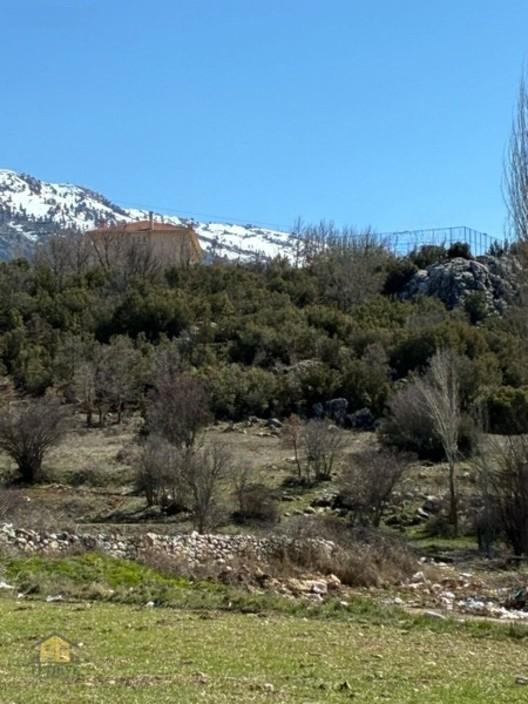 Seydikemer Sekide 2.458 M² Tek Tapu Fırsat Arazi 2