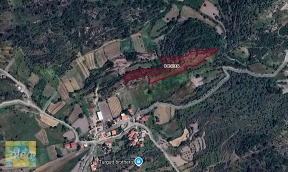 Muğla Milas Çiftlik Mahallesinde Satılık 7957 M2 Zeytinli Tarla 2