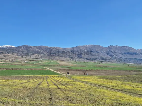 Burdur Kemerde Kadastro Yolu 9150 M2 2