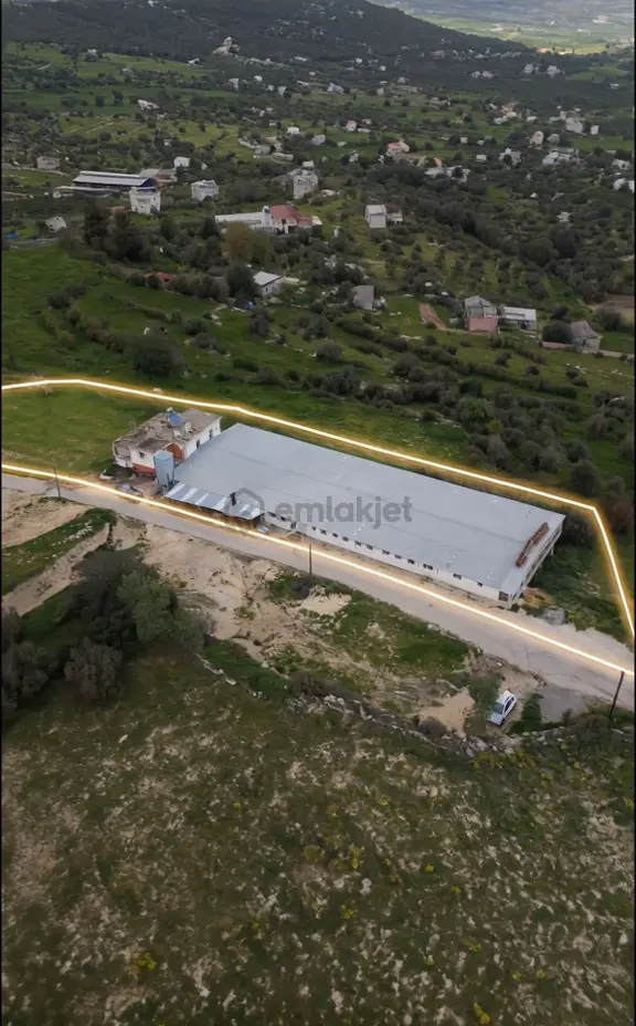 Tarsus Hacıhamzalı Köyü 20.000 Hazır Kümes 2
