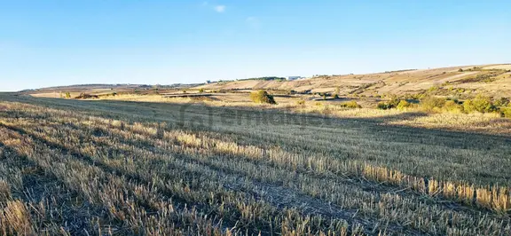 Asyaport Lmanı Mevcut İmar Planı İçinde Yüksek Kazanç Garantisi 2