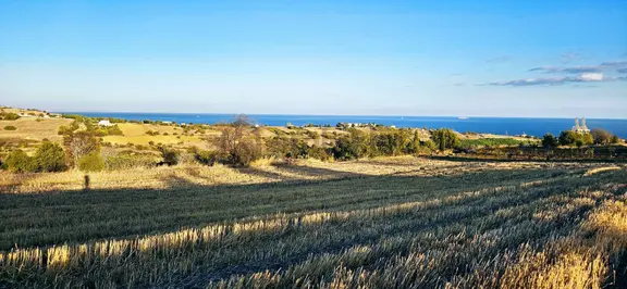 Asyaport Lmanı Mevcut İmar Planı İçinde Yüksek Kazanç Garantisi 1