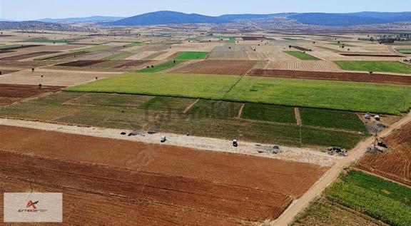 Akören Hacılarda 32.620 M² Müstakil Tapulu Tarla 1