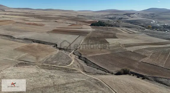Ilgın Dere'de Çift Yola Cepheli 3.770 M² Müstakil Tapulu Tarla 1