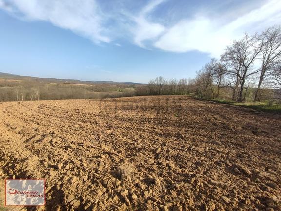 Fırsat Arazi Asfalta 100m Sulama Ve Elektrik İmkânıyla 14.600m2 2