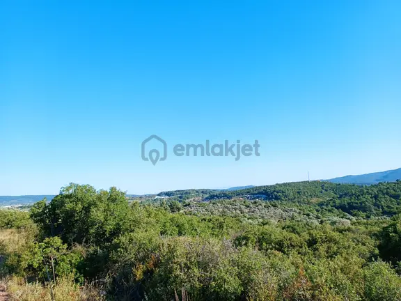 Urla Özbekte Satılık 29.125 M² Yatırımlık Tarla 1