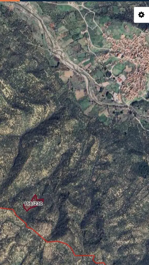 Bahadınlı Adatepede Yatırımlık 9.8 Dönüm Verimli Zeytinlik! 1
