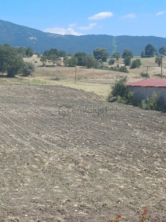 Balıkesir Dursunbey Hamzacık 4448m2 Satılık Tarla 1