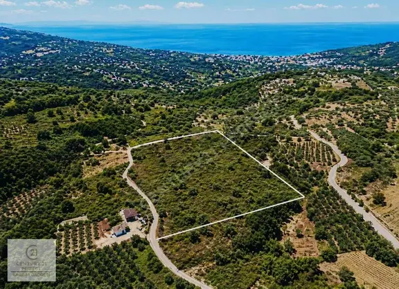 Yalova Armutlu Fıstıklıda Manzaralı 7.185 M² Satılık Tarla 1