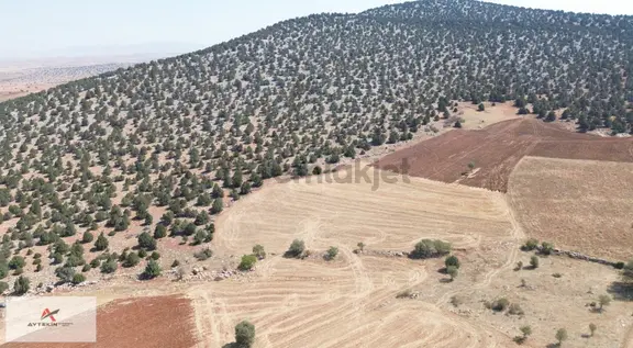 Konya Akören Alan Mahallesinde 4.809 M² Müstakil Tarla 2