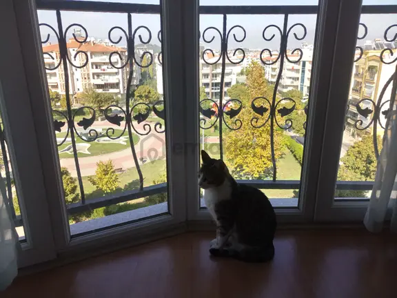 Sahibinden, Lâle Parkı'nın Tam Karşısında Acil Satılık Daire 2