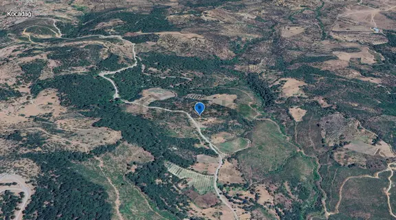 Balıkesir Havran Osmanpınarı Mevkii' Nde Satılık 5.924 M² Tarla 2