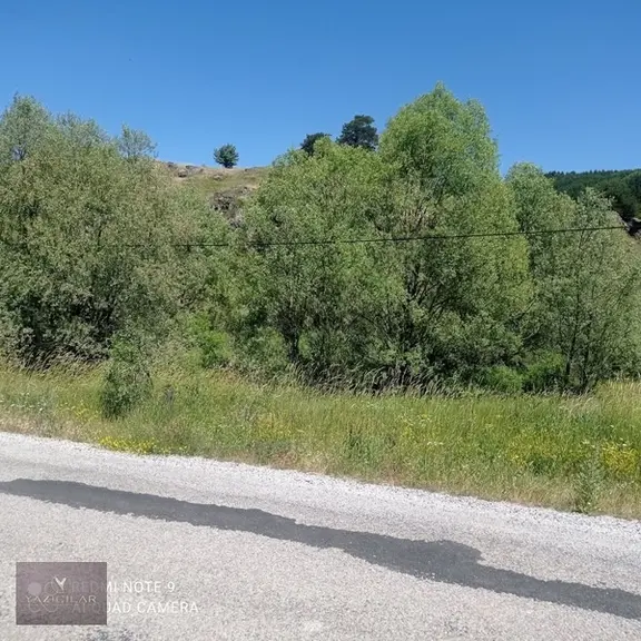 Yolla Sıfır Tarla 2
